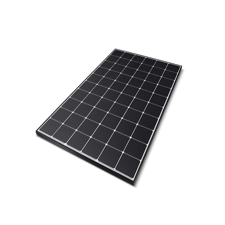 Pin mặt trời Gintung 260W